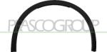 Prasco Elemente caroserie, Aripa, Bara protectie Aripa, piese Prasco AA7101581 (PRASCOAA7101581)