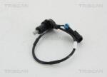 Triscan Control al dinamicii de rulare Triscan 8180 21225 - compatibil Daewoo, Chevrolet - Triscan-8180 21225 (TRISCAN818021225)