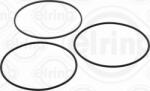 Elring Cilindru, Piston Elring 216.941 - compatibil Neoplan, Man (ELRING216941)