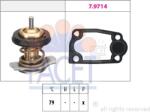 Facet Sistem de racire motor Facet 7.8942 - compatibil Peugeot, Iveco, Fiat, Citroën (FACET78942)