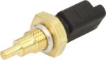 Delphi Unitate de control, Relee, Senzori Delphi TS10401 (DELPHITS10401)