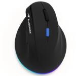 Bluestork M-WL-ERGO-LUMI-TH Mouse