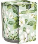 BISPOL Spring Refreshment 120 g