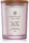Chesapeake Bay Mind & Body Joy & Laughter 250 g
