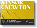 Winsor & Newton Galeria akril festőkészlet - 10x12 ml + kiegészítők