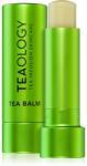 Teaology Tea Balm balsam pentru buze cu efect hidratant cu acid hialuronic culoare Matcha Tea - transparent 4 g