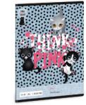 Ars Una Think-Pink 23 (5285) A5 12-32 3. osztályos vonalas füzet (53602855)