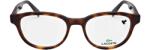 Lacoste L2921 214 52
