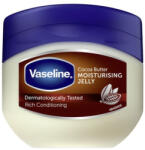 Vaseline Козметичен вазелин с какаово масло, 100 ml Лосион за тяло