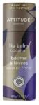 Attitude Leaves Bar Coconut balsam natural de buze 8, 5 g - vivantis