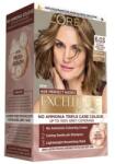 L'Oréal Vopsea de Par L'Oreal Paris Excellence Age Perfect Nudes, Ash Brown 6.03, 192 ml