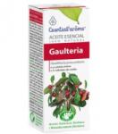 Esential aroms Ulei Esential de Wintergreen/Gaultheria Procumbens, Esential'aroms, 10 ml (EA50365)