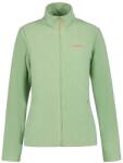 Icepeak Berwick Full-Zip Fleece - Green