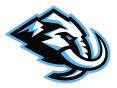 Utah Hockey Club official Utah Hockey Club matrica Perfect Cut Color Decal (122892)