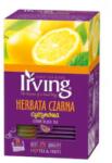 Ceai Verde Irving Lamaie 20 plic x 1.5g