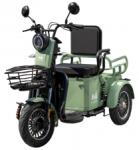 Evotools Triciclu Electric Persoane Deceneu Trp500 Verde