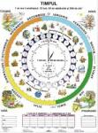  Timpul / Ceasul - planșă de perete