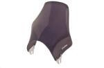 Puig Windshield PUIG NAKED dark smoke universal (212244)