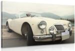 Dovido Tablou veteran alb de lux - 30x20
