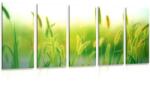 Dovido Tablou 5-piese lama de iarbă în design verde - 100x50