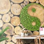 Dovido Fototapet Yin și Yang în design eco - 343x231