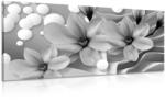 Dovido Tablou floare magnolie pe fundal abstract alb-negru - 60x30