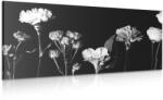 Dovido Tablou flori elegante alb-negru - 140x70
