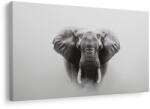 Dovido Tablou elefant măreț în ceață - 120x80