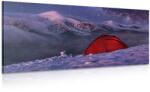 Dovido Tablou cort sub cerul liber - 100x50