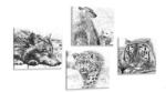 Dovido Set tablouri animale în design alb-negru de acuarelă - 4x 60x60