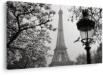 Dovido Tablou paris în ceața iernii - 120x80