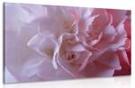 Dovido Tablou petale de garoafe - 40x30