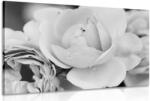 Dovido Tablou plin de trandafiri în design alb-negru - 30x20