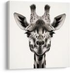 Dovido Tablou privirea girafei - 20x20