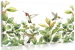 Dovido Tablou colibri si frunze - 120x80