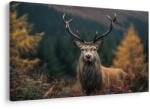 Dovido Tablou cerb măreț în pădure - 30x20