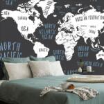 Dovido Tapet harta lumii în design modern - 441x297