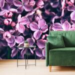 Dovido Fototapet flori violete de liliac - 343x231