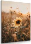 Dovido Tablou floarea-soarelui la apus se soare - 40x60