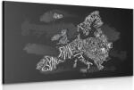 Dovido Tablou harta modernă a Europei - 30x20