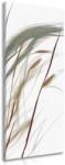 Dovido Tablou fire de iarbă suflate - 50x150