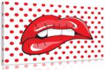 Dovido Tablou pop art buze - 150x100