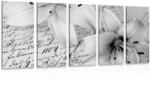 Dovido Tablou 5-piese crin pe un document vechi în design alb-negru - 200x100