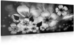 Dovido Tablou fantezia florilor în design alb-negru - 100x50