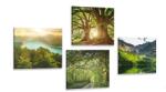 Dovido Set tablouri natura verde frumoasă - 4x 60x60