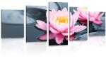 Dovido Tablou 5-piese floare de lotus în lac - 150x75