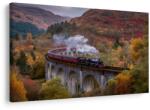 Dovido Tablou tren cu aburi - 30x20