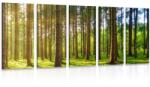 Dovido Tablou 5-piese dimineață însorită în pădure - 150x75