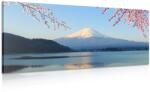 Dovido Tablou vedere din lacul la Fuji - 80x40