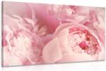 Dovido Tablou petale ale florilor - 60x40